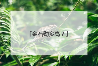 金石勋多高？