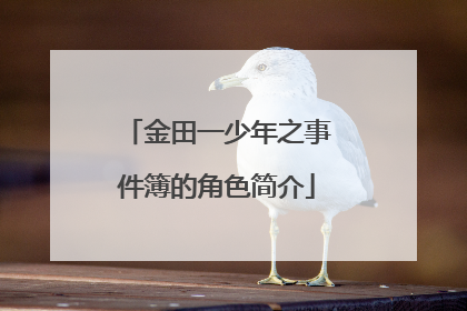 金田一少年之事件簿的角色简介