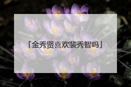 金秀贤喜欢裴秀智吗