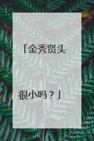 金秀贤头很小吗？