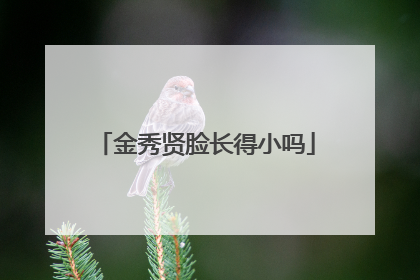 金秀贤脸长得小吗