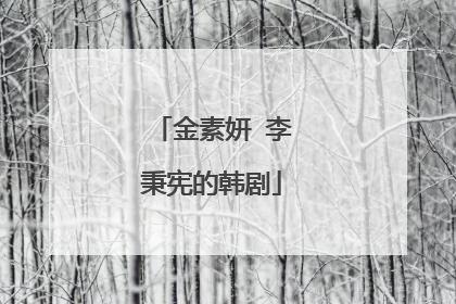 金素妍 李秉宪的韩剧