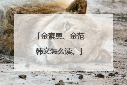 金素恩、金范 韩文怎么读。