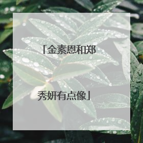 金素恩和郑秀妍有点像