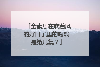 金素恩在吹着风的好日子里的吻戏是第几集？