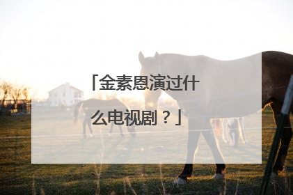 金素恩演过什么电视剧？