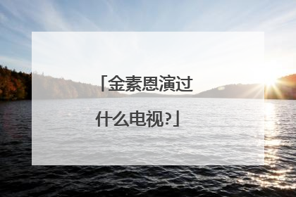 金素恩演过什么电视?