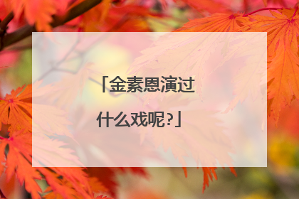 金素恩演过什么戏呢?