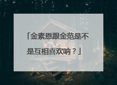 金素恩跟金范是不是互相喜欢呐?