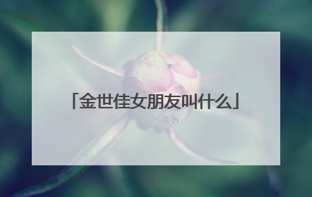 金世佳女朋友叫什么