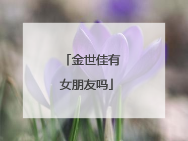 金世佳有女朋友吗