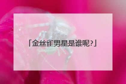 金丝雀男星是谁呢?