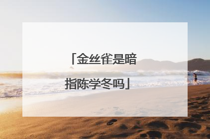 金丝雀是暗指陈学冬吗
