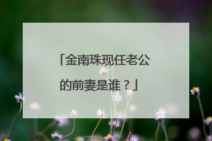 金南珠现任老公的前妻是谁？