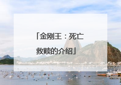 金刚王：死亡救赎的介绍