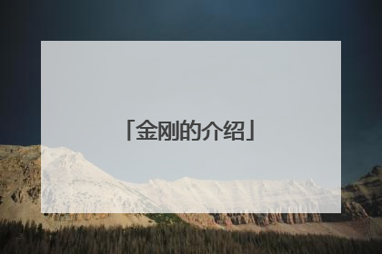 金刚的介绍