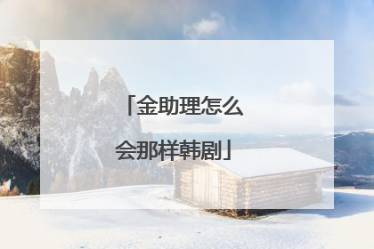 金助理怎么会那样韩剧