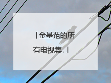 金基范的所有电视集.