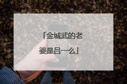 金城武的老婆是吕一么