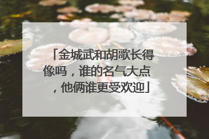 金城武和胡歌长得像吗，谁的名气大点，他俩谁更受欢迎