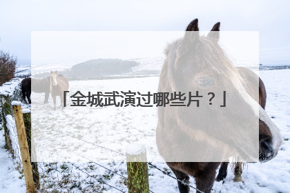 金城武演过哪些片?