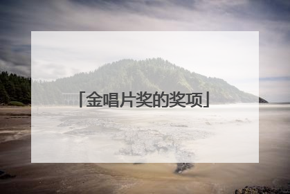 金唱片奖的奖项