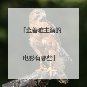 金善雅主演的电影有哪些