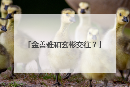 金善雅和玄彬交往？