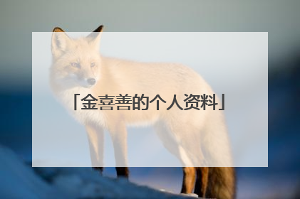 金喜善的个人资料