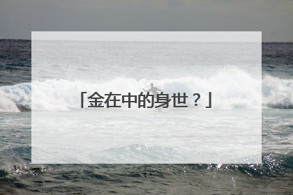 金在中的身世?
