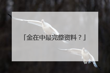 金在中最完整资料?