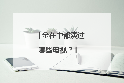 金在中都演过哪些电视?