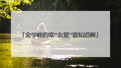 金学峰的歌“友爱”谁知道啊