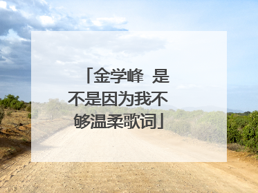 金学峰 是不是因为我不够温柔歌词