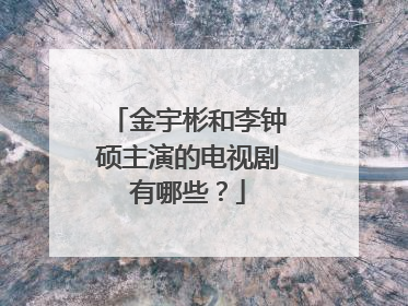 金宇彬和李钟硕主演的电视剧有哪些?