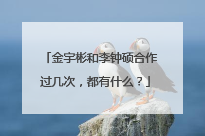 金宇彬和李钟硕合作过几次，都有什么？