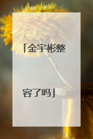 金宇彬整容了吗