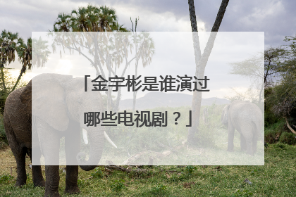 金宇彬是谁演过哪些电视剧？