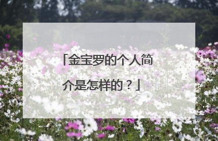 金宝罗的个人简介是怎样的?