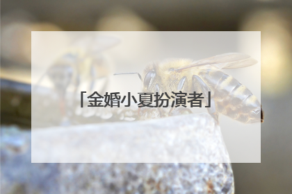 金婚小夏扮演者