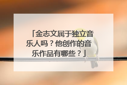 金志文属于独立音乐人吗？他创作的音乐作品有哪些？