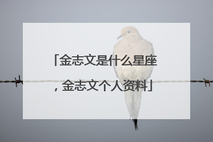 金志文是什么星座，金志文个人资料