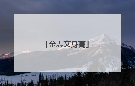 金志文身高