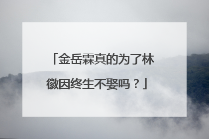 金岳霖真的为了林徽因终生不娶吗？