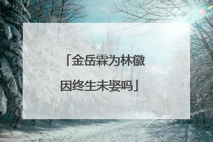 金岳霖为林徽因终生未娶吗