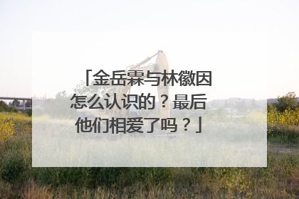 金岳霖与林徽因怎么认识的?最后他们相爱了吗?
