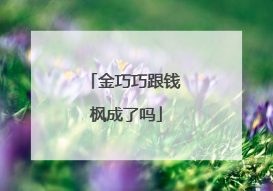 金巧巧跟钱枫成了吗