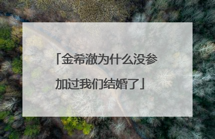 金希澈为什么没参加过我们结婚了