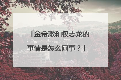 金希澈和权志龙的事情是怎么回事?