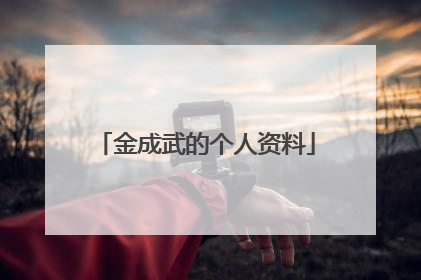 金成武的个人资料